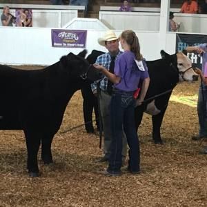 Meet your Posher, Tammy